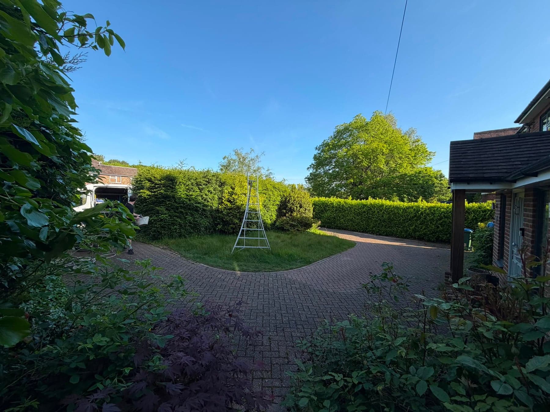 Garden clearance and tidying up
