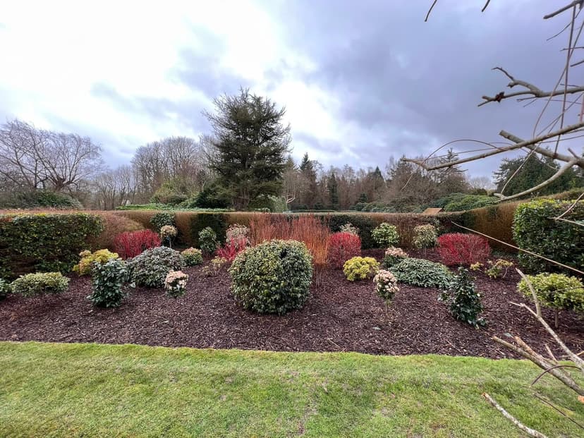An Autumn Garden Tidy Without Stripping Every Border Bare