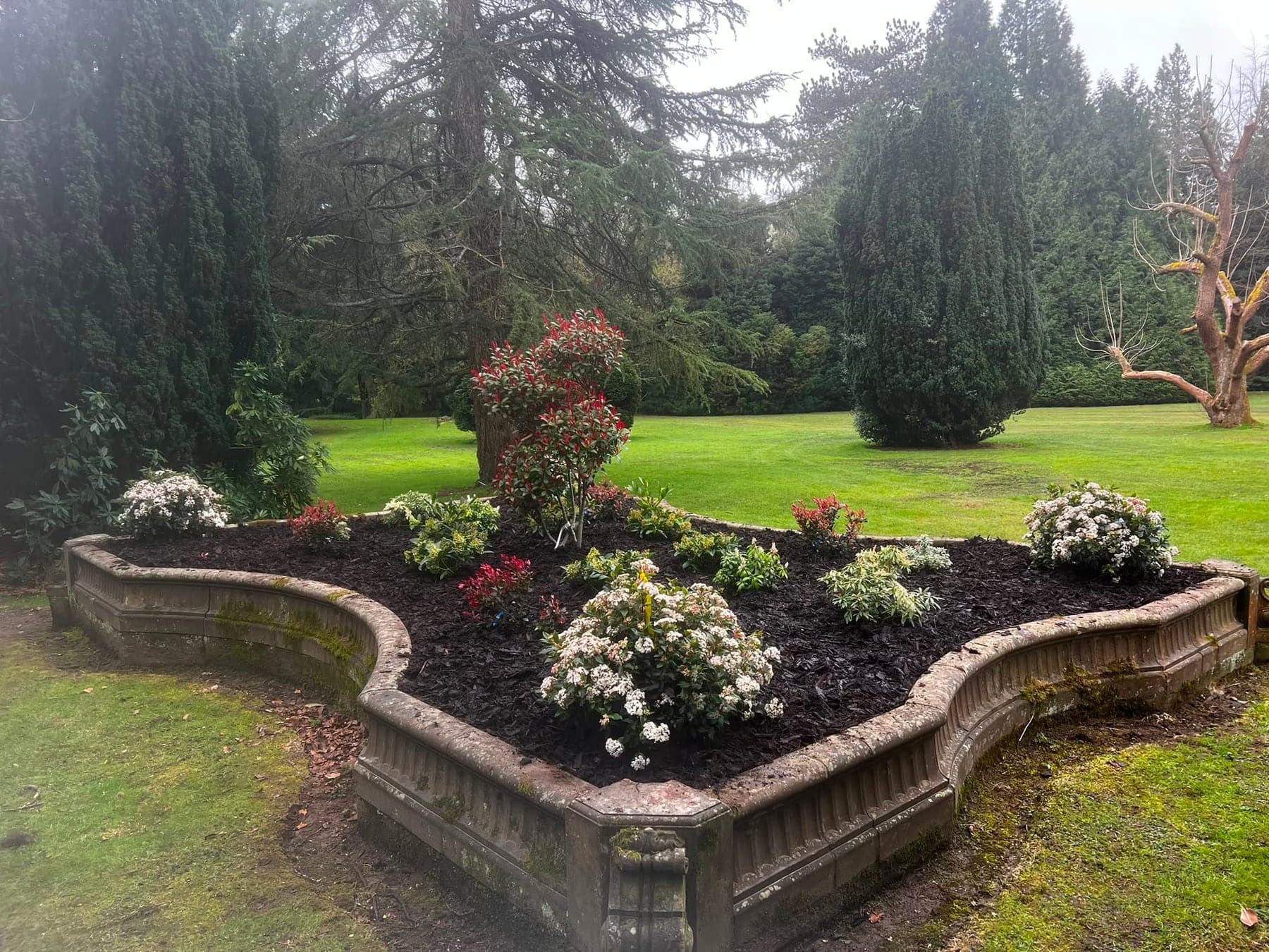 Planting and advice